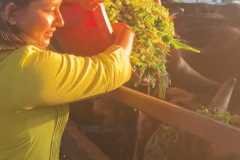 WhatsApp-Image-2026-03-13-at-6.19.09-PM-1