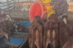 WhatsApp-Image-2026-03-13-at-6.19.09-PM