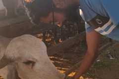 WhatsApp-Image-2026-03-13-at-6.19.10-PM-1