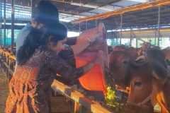 WhatsApp-Image-2026-03-13-at-6.19.10-PM-2