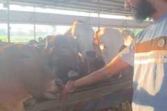 WhatsApp-Image-2026-03-13-at-6.19.10-PM